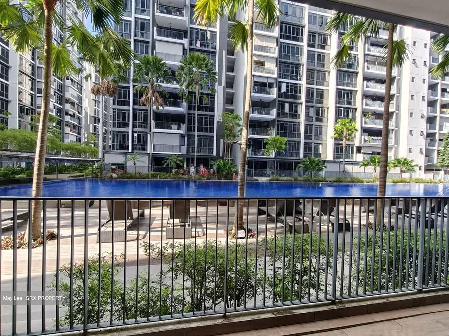 La Fiesta (D19), Condominium #547766081